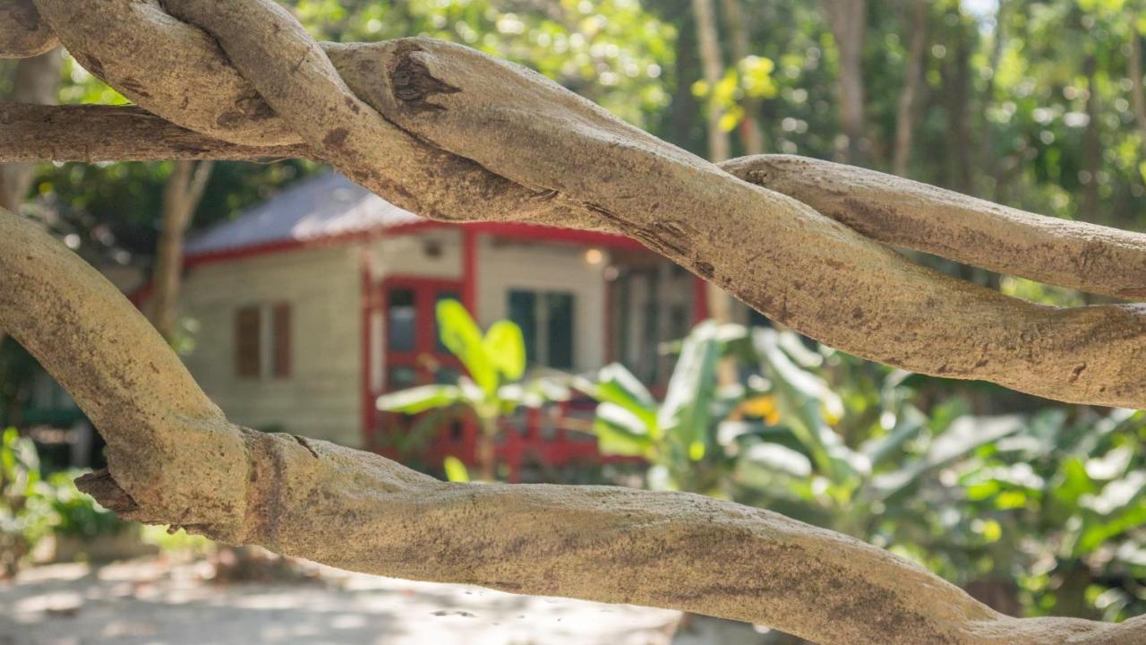 Hotel Sarasea Koh Rong Samloem Koh Rong Sanloem Zewnętrze zdjęcie